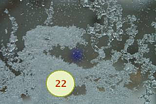 Kalendergedichte Roswitha Hofmann Schneekristalle auf grauem Untergrund teils schmelzenz