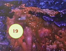 Kalendergedichte Barbara Poll rot-violett ineinanderlaufende Farbflaechen